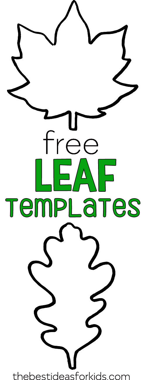 Leaf Template The Best Ideas For Kids