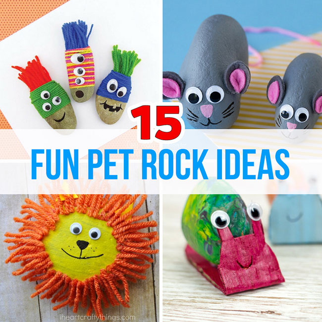Make Adorable Pet Rocks - Easy Kids Craft! - My Bright Ideas