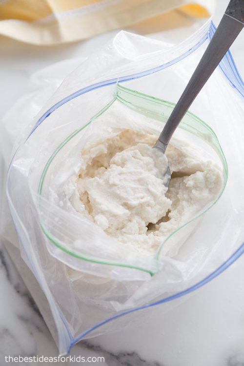 Homemade Ice Cream in a Bag 