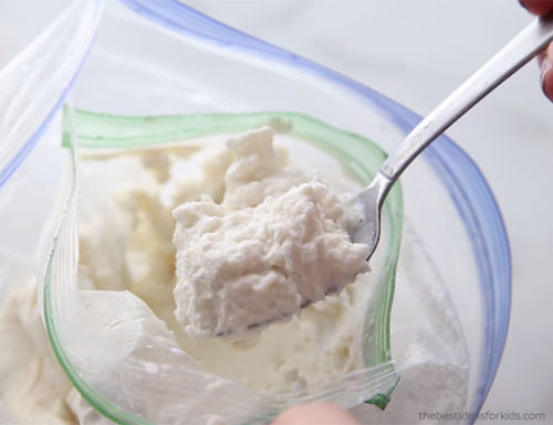 How to Make Homemade Ice Cream in a Bag - Saving Cent by Cent