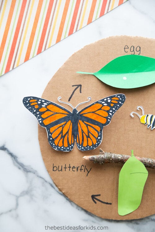 Butterfly Life Cycle Craft (with free template) - The Best Ideas for Kids