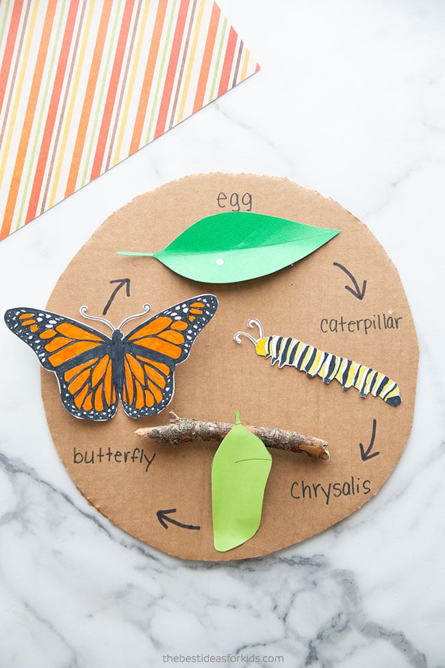 Butterfly Life Cycle Craft with Free Template The Best Ideas For Kids