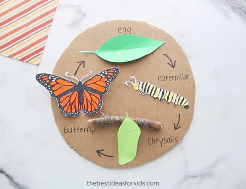 Butterfly Life Cycle Craft (with free template) - The Best Ideas for Kids