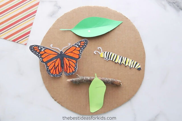 Butterfly Life Cycle Craft (with free template) - The Best Ideas for Kids