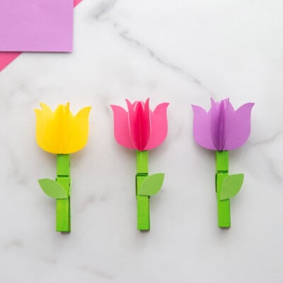 Pom Pom Flower Craft - The Best Ideas for Kids