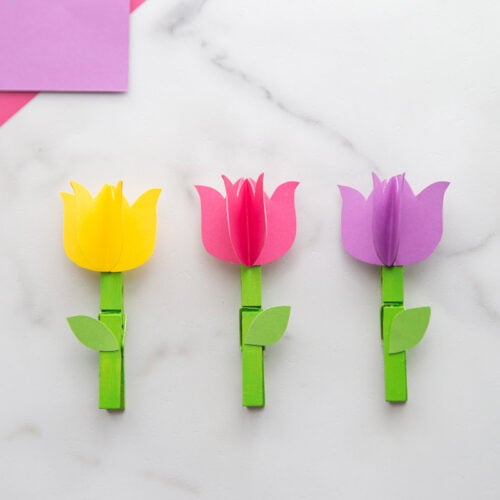 Pom Pom Flower Craft - The Best Ideas For Kids