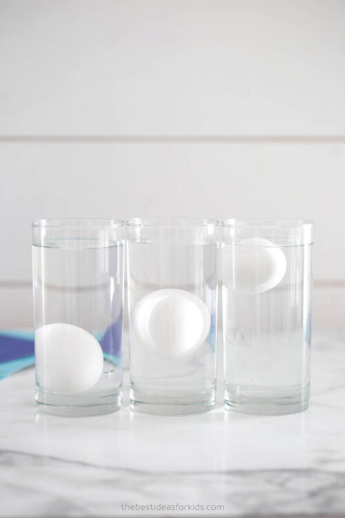 experiment egg floating in water