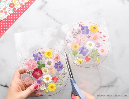 Pressed Flower Suncatcher - The Best Ideas for Kids