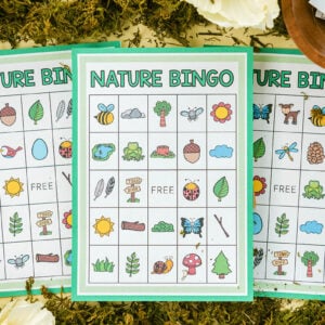 Bug Bingo (Free Printables) - The Best Ideas for Kids