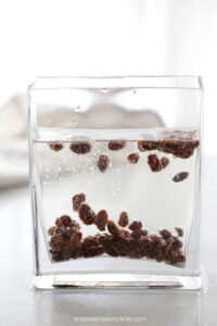 how to do dancing raisins experiment