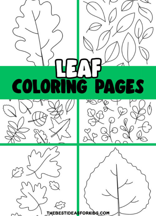 Leaf Coloring Pages (Free Printables) - The Best Ideas for Kids