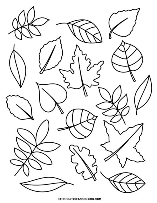 Leaf Coloring Pages (Free Printables) - The Best Ideas for Kids