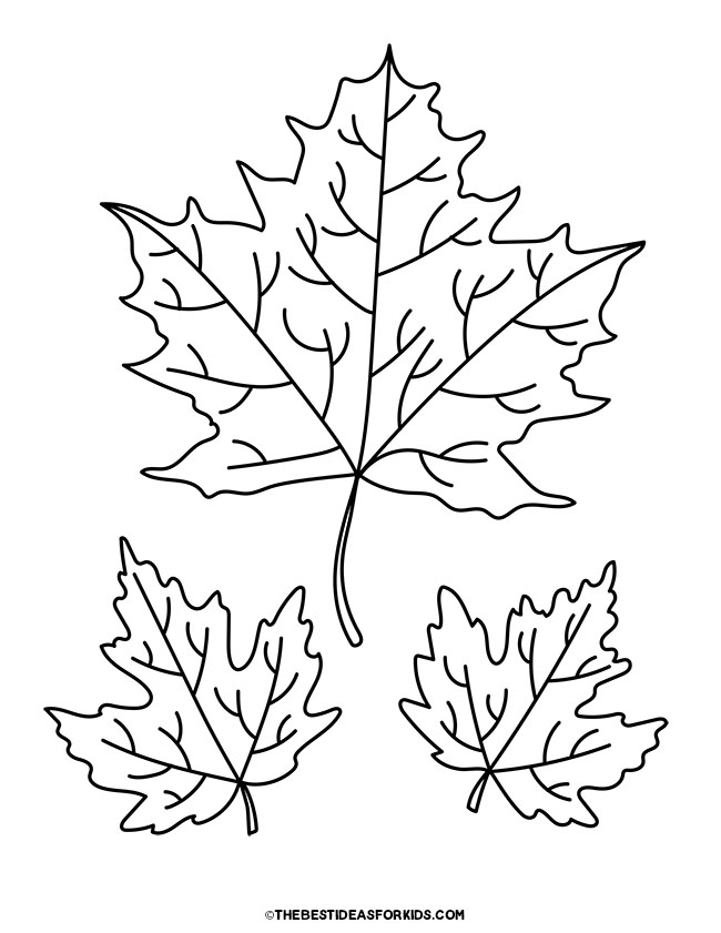 Leaf Coloring Pages (Free Printables) - The Best Ideas for Kids