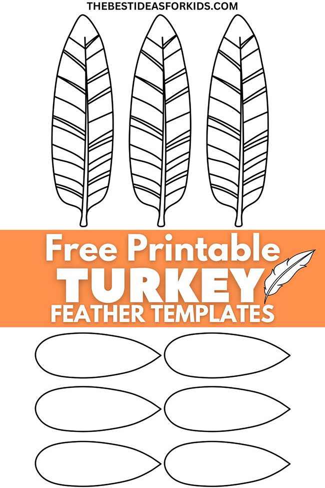 Turkey Feather Template (Free Printables) The Best Ideas for Kids