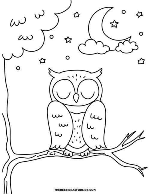 Owl Coloring Pages (Free Printables) - The Best Ideas for Kids