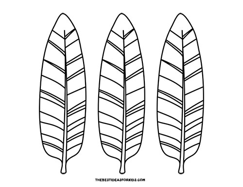 Turkey Feather Template (Free Printables) - The Best Ideas for Kids