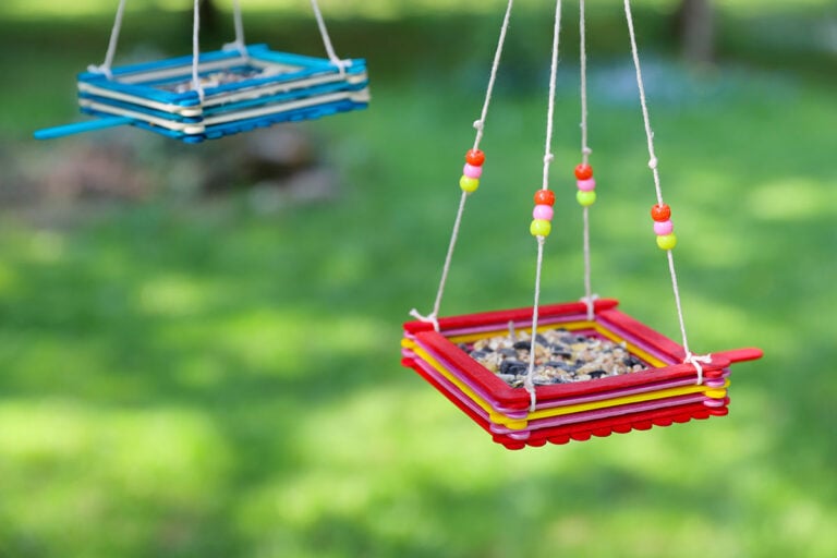 Popsicle Stick Bird Feeder - The Best Ideas for Kids