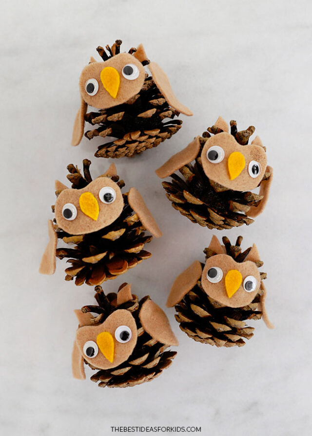 How to Make a Pine Cone Owl