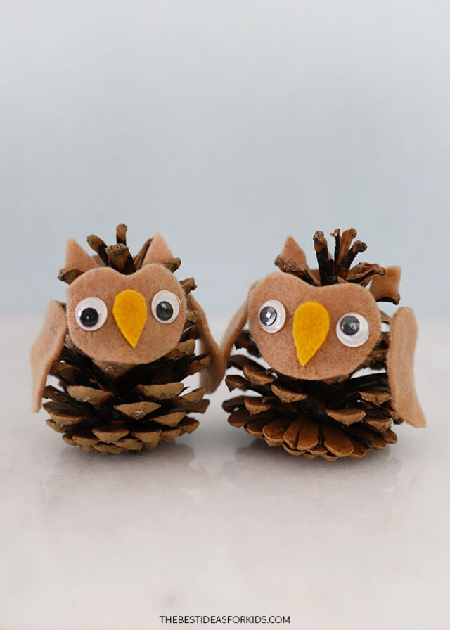 How to Make a Pinecone Owl