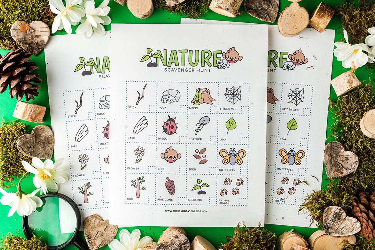 Nature Scavenger Hunt (Free Printable) - The Best Ideas for Kids