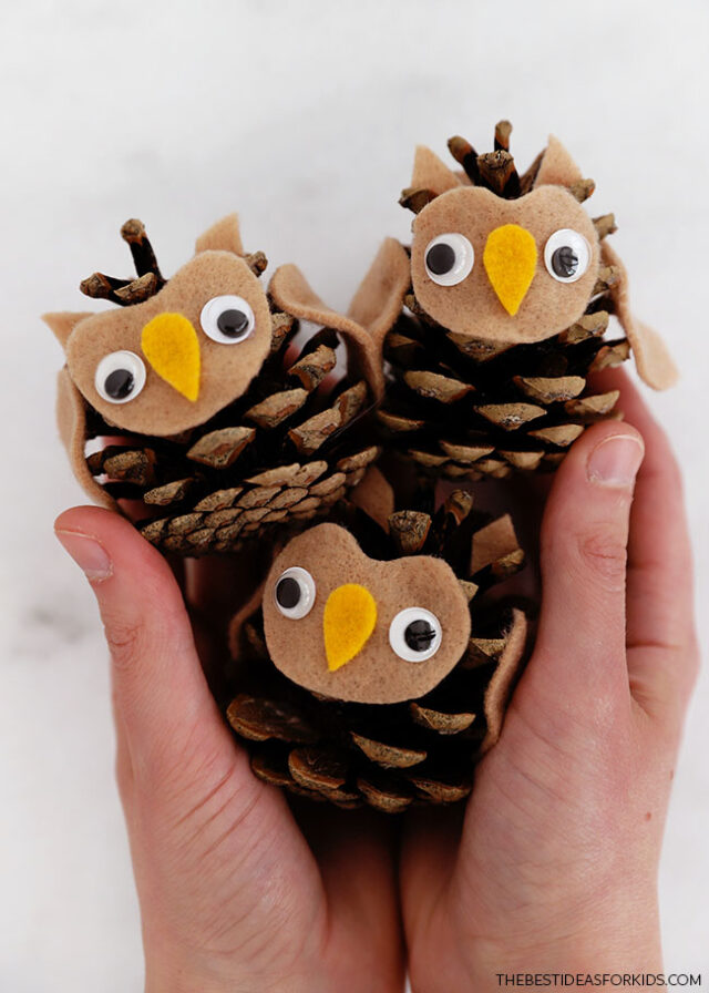 Pinecone Owl Craft