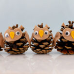 Pinecone Owl cover