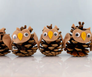 Pinecone Owl cover