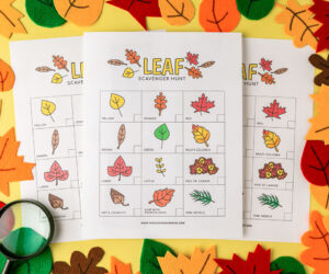 Leaf Scavenger Hunt