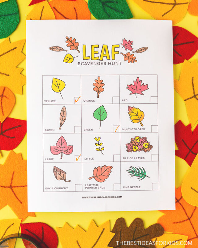 Scavenger Hunt to Find Leaves