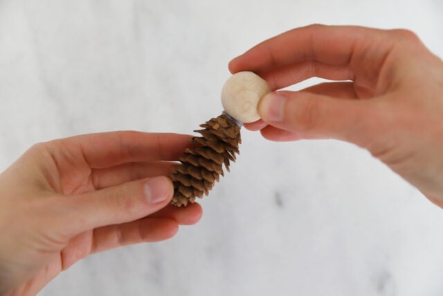 Pinecone and bead glued together