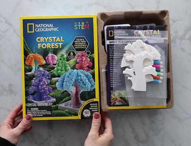 Crystal Forest Kit