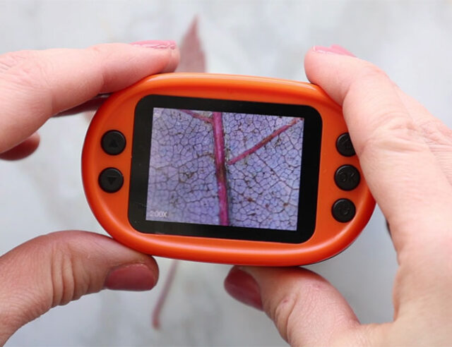 Handheld Microscope